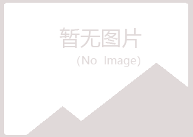 渝水区夏岚金属有限公司